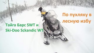 Тайга Барс SWT и Ski-doo Sckandic WT после снегопада