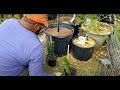 Growing in pots, want to know how its done?