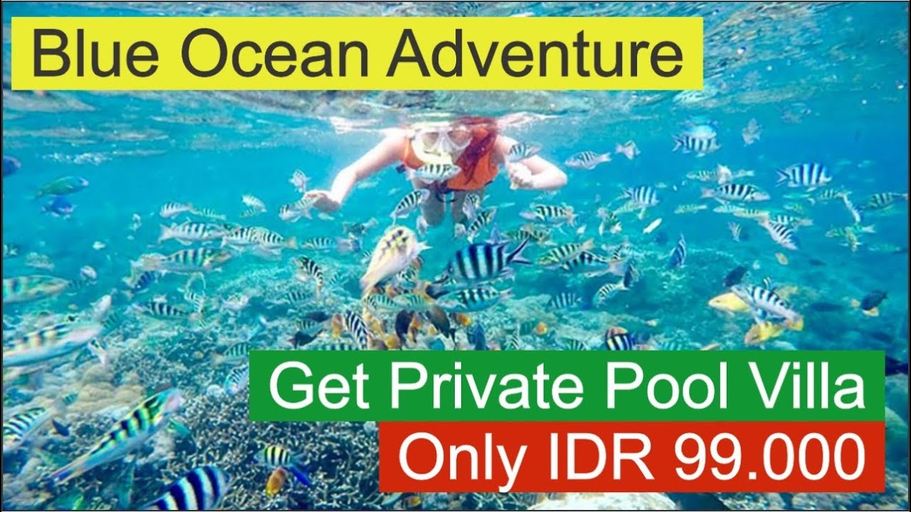 PROMO STAYCATION in Magic Blue Ocean Ujung Barat Pulau Jawa at Tanjung
