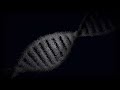 Health and DNA: The Struggle of Life