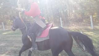 Horse archery training