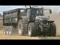 Massey Ferguson 8740S Black Beauty & Massey Ferguson Ideal 9T Combining | DK Agriculture