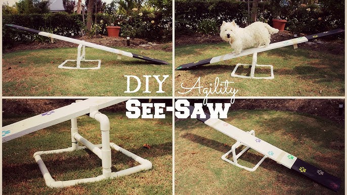 DIY: How to Make Your Own Dog Agility Course - Petful