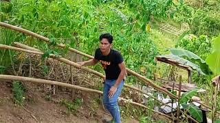 EPISODE (18) TRY TO NOT LAUGH THIS VIDEO 