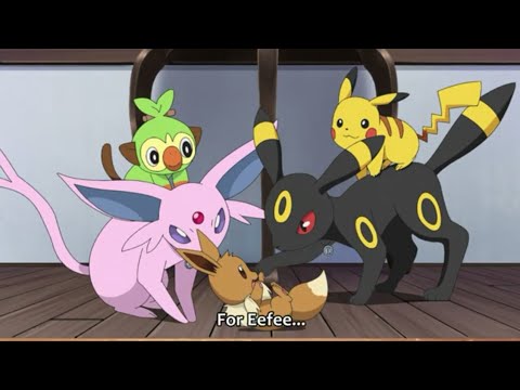 Eevee cute moments! || pokemon journeys ep 79.