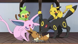 Eevee Cute Moments Pokemon Journeys Ep 79.