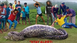 Famous Giant Python Attacks Hunters: Real Life Horror! Wild Python AttacksThe jungle boys King Cobra Python Net Worth