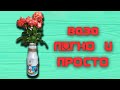 Ваза из стеклянной бутылки. Проще простого!