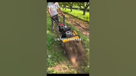 Máy cày xới đất máy cắt cỏ nông nghiệp máy lên luống tạo rãnh đa năng #dienmaynongnghiep