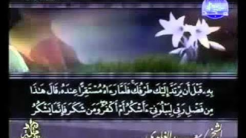 ختمة الشيخ سعد الغامدي 27 سورة النمل