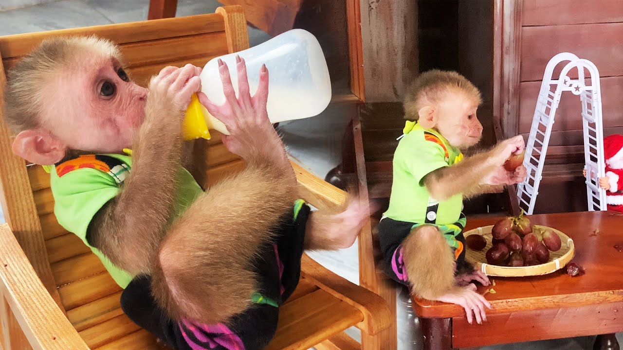 Dad Hung Challenges Jobi to Stay Alone 😱 | And the Unexpected Outcome