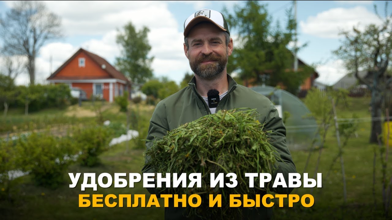 ТРИ БЕСПЛАТНЫХ УДОБРЕНИЯ ИЗ ТРАВЫ. Способы приготовления удобрения из травы, доступных каждому.