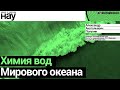 «Химия вод Мирового океана». Спикер: Александр Анатольевич Полухин