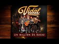 Grupo vidal un milln de rosas live