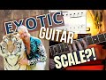 EXOTIC Guitar MODE Mixolydian B2 B6 Phrygian Dominant EXOTIC Guitar MODE Mixolydian B2 B6 Phrygian Dominant