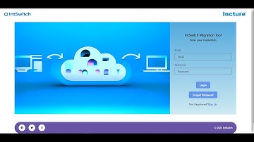 IntSwitch Migration Tool