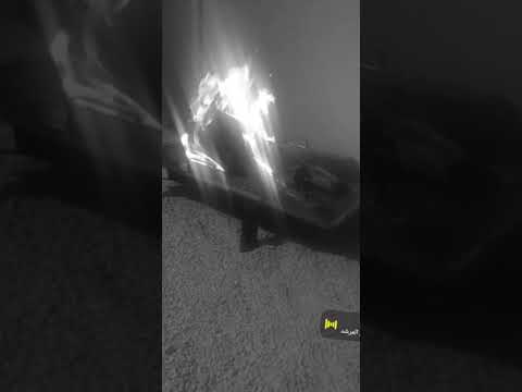 يا محلا جو شتاء