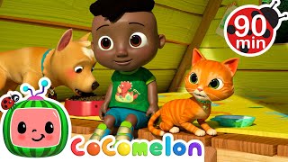 What's the Opposite of a Cat? | CoComelon - It's Cody Time | Nursery Rhymes for Babies