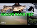 Ice Fishing for Shallow Water Pike!