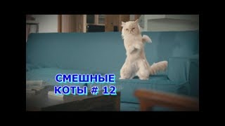 Приколы с кошками и котами #12. Подборка смешных и интересных видео с котиками и кошечками 2017 Приколы с кошками и котами #12. Подборка смешных и интересных видео с котиками и кошечками 2017