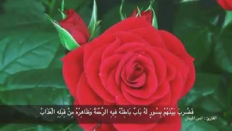 {يوم ترى المؤمنين والمؤمنات يسعى نورهم} تلاوة عذبة للشيخ أنس الميمان