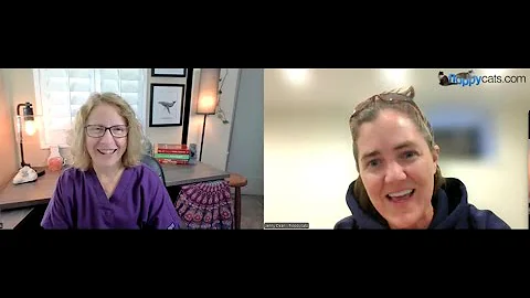 Video 10462601: healthy kittens, kitten adoption, kitten home, cat adoption