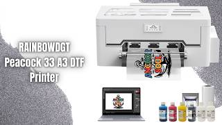 RAINBOWDGT Peacock 33 DTF Printer Review | XP600 A3 DTF Printer!