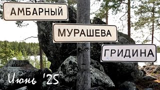 Мурашева – Гридина