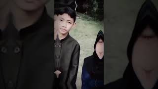 Cinderella dindarandika