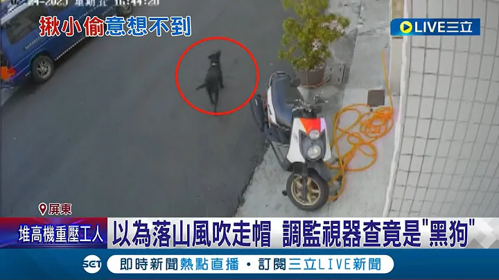 这狗狗还真识货! 民众把价值7千元冲浪帽晒门口遗失 调监视器查竟发现小偷是隔壁"黑狗" 主人: 牠是惯犯│记者 古芙仙 朱俊杰 薛仁宏│【LIVE大现场】20230225│三立新闻台 - 天天要闻