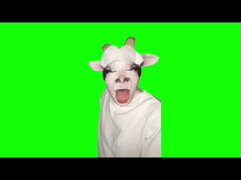 Green Screen Template - Goat Talking To Clueless Huh Cat