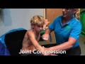 Therapeutic Brushing and Joint Compressions