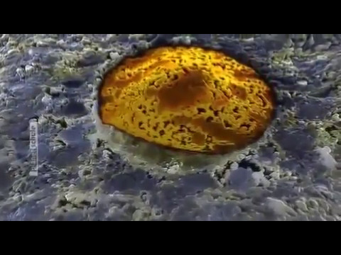 Dokumentarfilm - Geheimnisvolles Universum Mensch Doku 2016