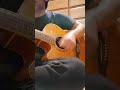 【アンダーグラフ / サンザシ】アコギ弾き語り歌ってみた