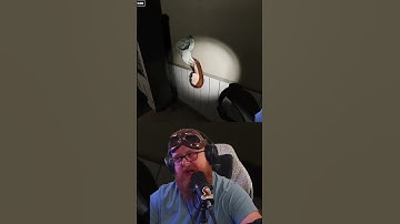 Have You Ever Seen This?!?! #phasmophobia #phasmophobiaupdate #phasmophobiagame #trending #gaming