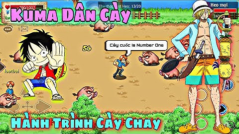 Hải Tặc Tí Hon - Hành Trình Cày Chay Mới !! Kuma Dân Cày Ra Đời !!