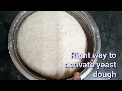 वीडियो: खमीर आटा कैसे बनाते हैं