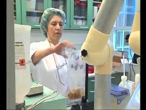 How Odense Almond Paste is Made