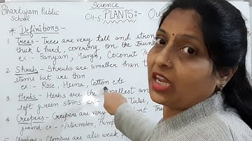 Bhartiyam Public School | Class-3 | Science | Ch - 5 |