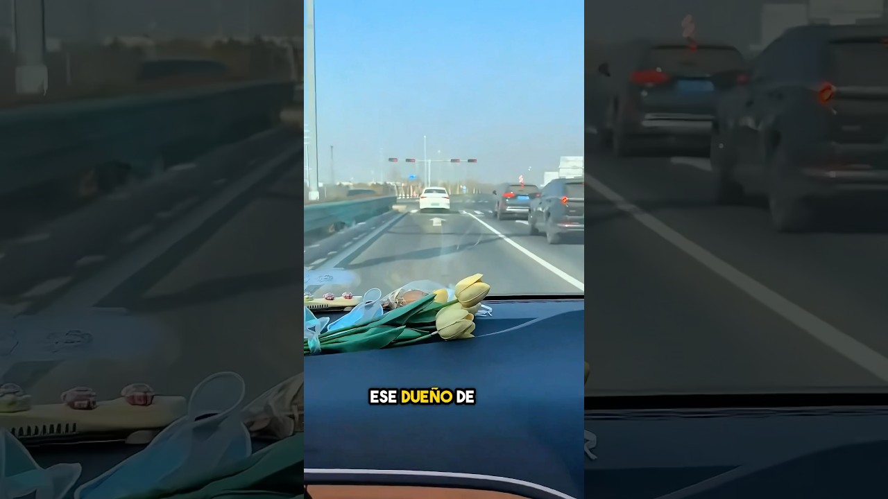 por qué el conductor del automóvil tocó la bocina