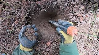 LIVE DIG RING ACTION!! Simplex+ hits on spill with valuable rare ring, silver coin and some wheaties