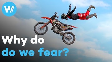 The Science of Fear: Irrational fears, thrill-seekers and dramatic treatments (Full documentary)