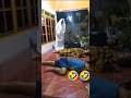 Pocong kena prank bikin ngakak  shorts