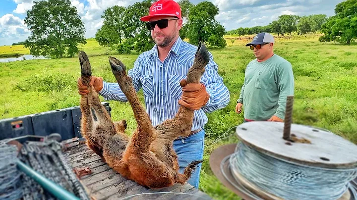 We CAN'T Go Through That Again!