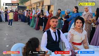 Yeni Delilo Halayı - HOZAN TEKİN - Ercan in Düğünü Adana 📞0541 589 3891 Resimi