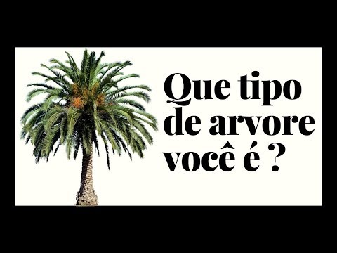 Vídeo: Como você obtém sementes de uma árvore de cedro?