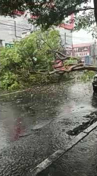 #short info maszeee kediri hari ini rusak akibat terjangan angin puting beliung #menjengkimhoa