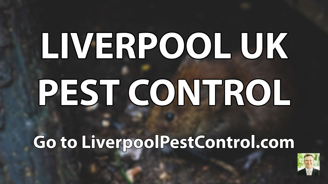 Pest Control Liverpool Pest Control Exterminator Services in