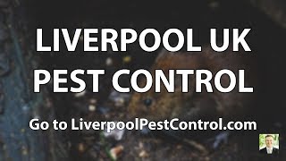 Pest Control Liverpool | Pest Control Exterminator Services in Liverpool