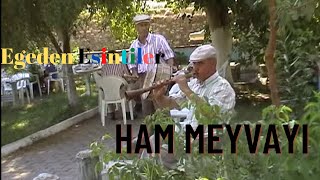 Haydar Haydar / Ham Meyvayı 🇹🇷-Cemal Tosun Resimi